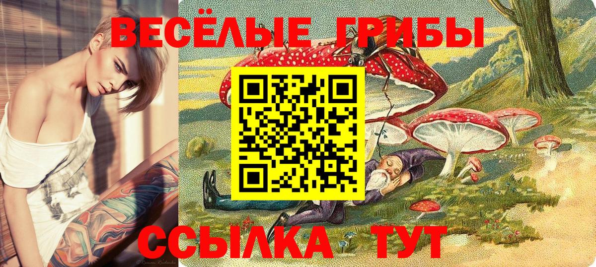 Галлюциногенные грибы мицелий Тайшет