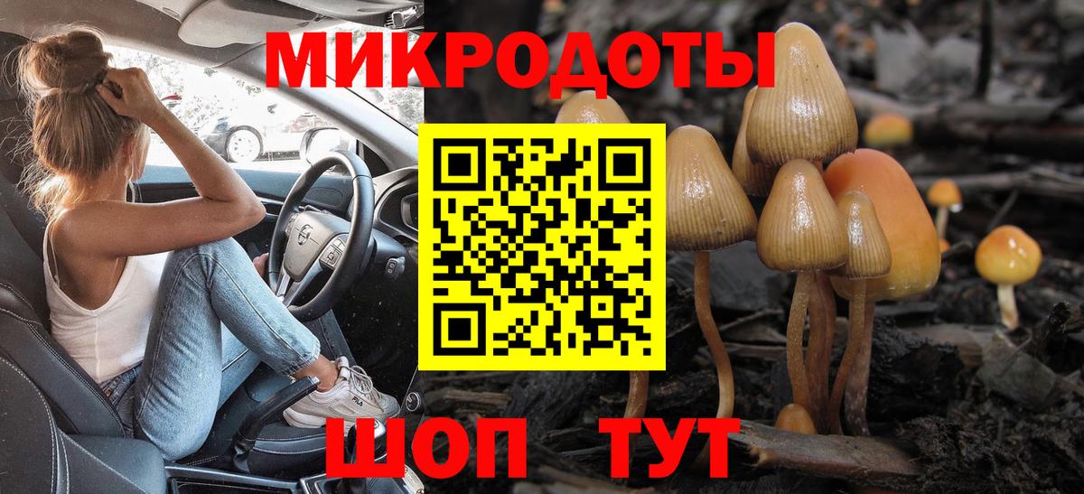 Галлюциногенные грибы Psilocybe  Вход с VPN  Тайшет 